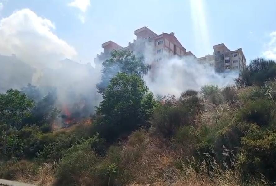 Bursa'nın Orhangazi ilçesinde otluk alanda çıkan ve  rüzgarında etkisi ile