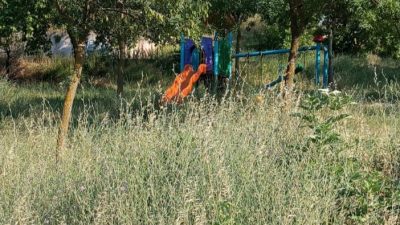 Bursa'nın Orhangazi ilçesinde bazı çocuk parklarının içinde ve çevresinde uzayan