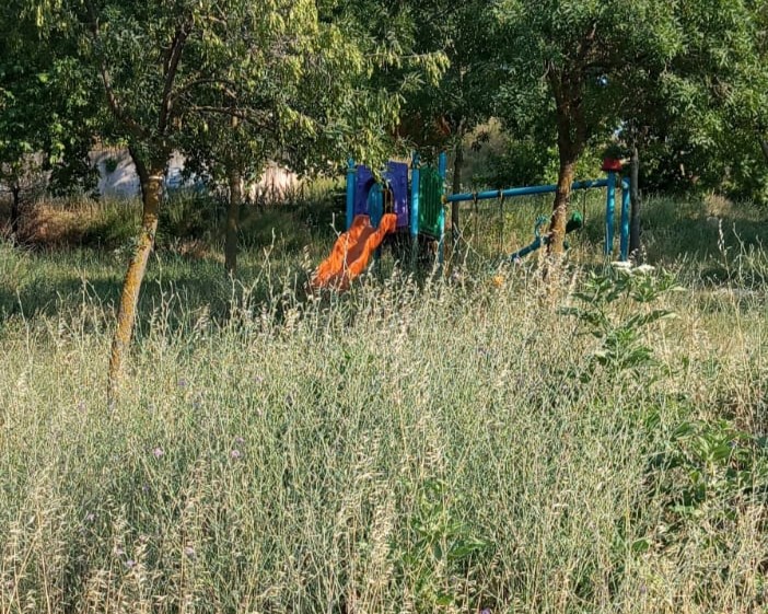 Bursa'nın Orhangazi ilçesinde bazı çocuk parklarının içinde ve çevresinde uzayan