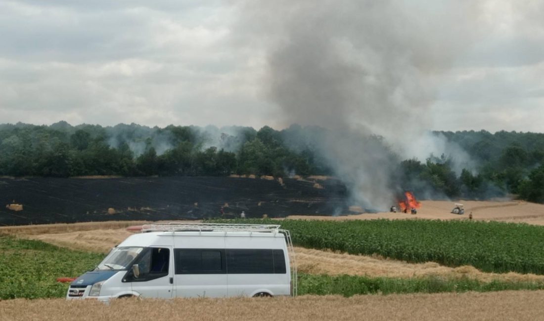 Bursa'nın Yenişehir ilçesine bağlı Orhaniye Mahallesi'nde bugün öğle saatlerinde çıkan