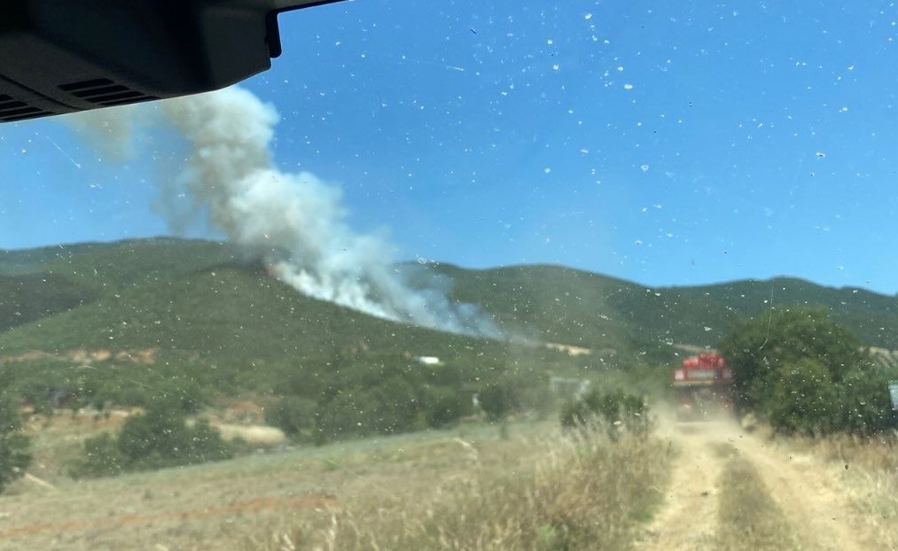 Bursa'nın Yenişehir ilçesine bağlı Selimiye Mahallesi'nde, bugün bir buğday tarlasında