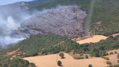 Bursa'nın Yenişehir ilçesinde bugün öğlen saatlerinde meydana gelen orman yangını,