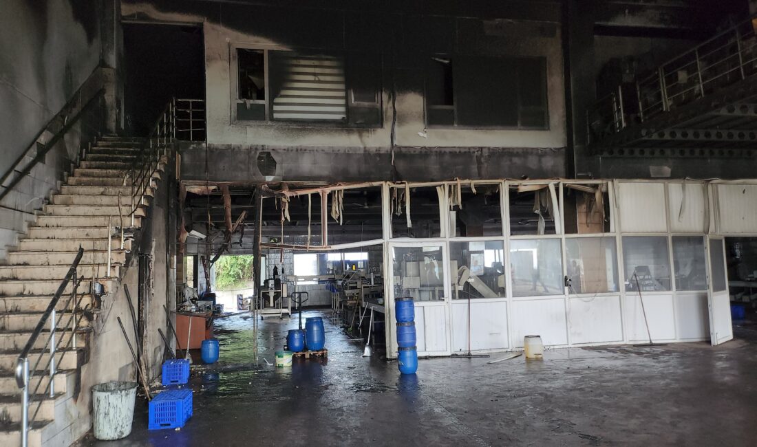 Bursa'nın Orhangazi ilçesinde bulunan ORZİM zeytin işleme merkezinde bulunan bir