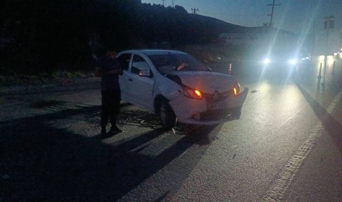 Bursa'da Orhangazi - Gemlik yolu üzerinde meydana gelen trafik kazasında,
