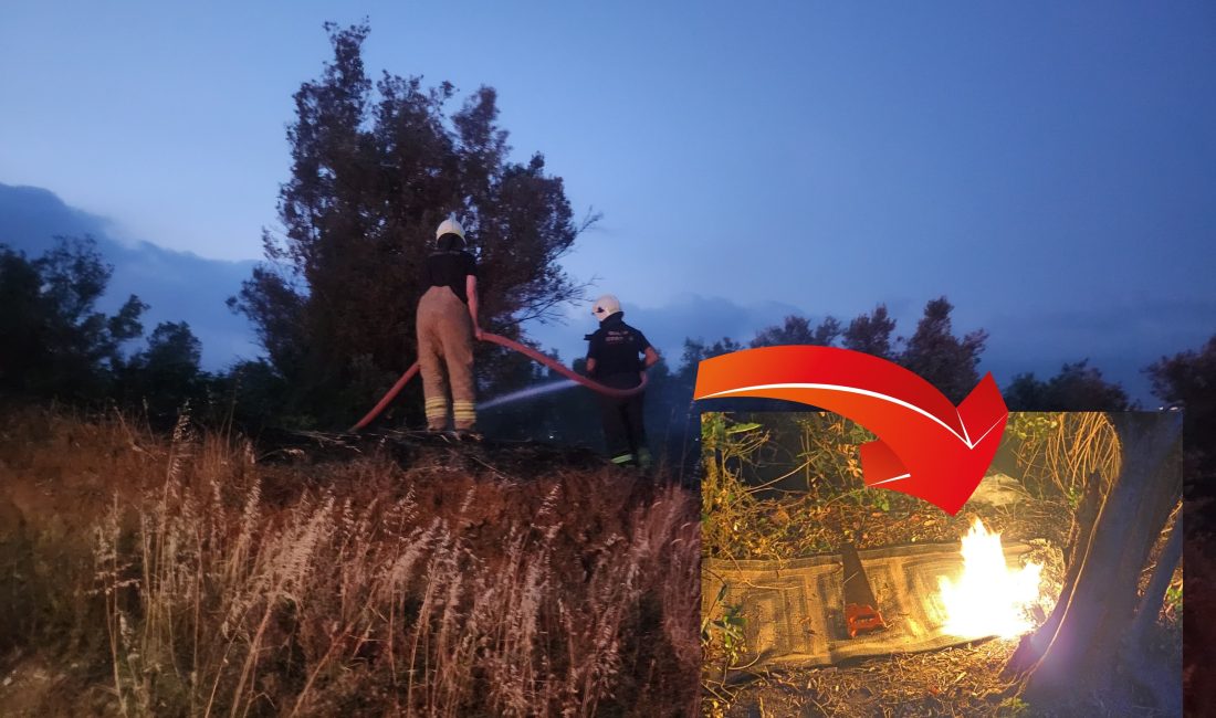 Bursa'nın Orhangazi ilçesinde şehir içinde bulunan bir zeytinlik içinde yakılan