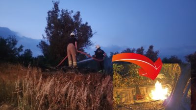 Bursa'nın Orhangazi ilçesinde şehir içinde bulunan bir zeytinlik içinde yakılan