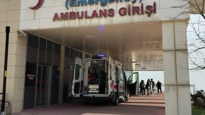 Bursa'nın Orhangazi ilçesine bağlı kırsal Fındıklı Mahallesi'nde meydana gelen olayda,