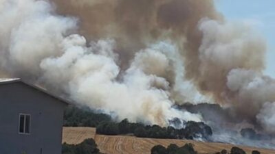 Bursa'nın Nilüfer ilçesine bağlı Balkan Mahallesi'nde yangın çıktı. Alevler rüzgarın