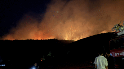 Sakarya'nın Geyve ilçesinde başlayan ve Bilecik'e sıçrayan orman yangını 36