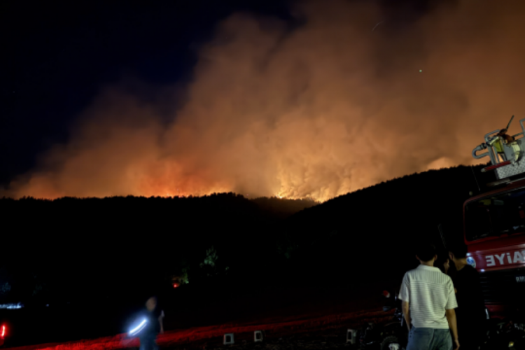 Sakarya'nın Geyve ilçesinde başlayan ve Bilecik'e sıçrayan orman yangını 36