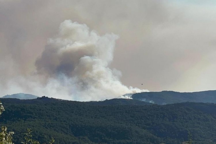 Eskişehir'in Seyitgazi ilçesindeki orman yangınına müdahale sırasında alevlerin arasında kalarak
