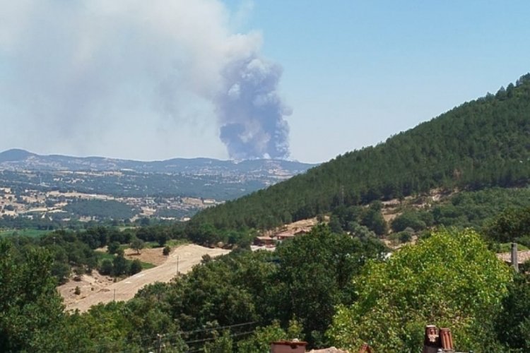 Orhaneli'de ormanlık alanda başlayan orman yangını kısa süre içerisinde büyüdü.

