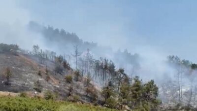 Bursa'nın İznik ilçesinde çıkan orman yangını ekiplerin hızlı müdahalesiyle kontrol