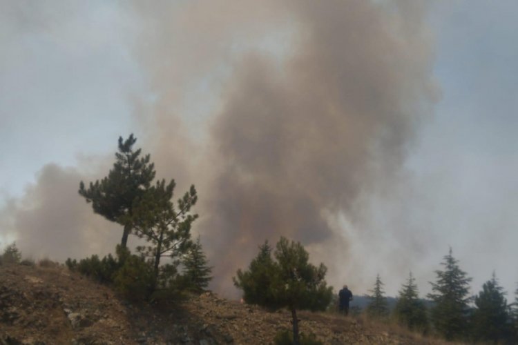 Bursa'nın Harmancık hattında günlerdir süren yangını söndürme çalışmaları sürüyor. Ekiplerin