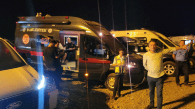 Bursa'nın Orhaneli ile Harmancık ilçeleri arasında bulunan ormanlık alanda çıkan