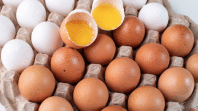 Yumurta israfını azaltmak isteyen Tarım ve Orman Bakanlığı, sofralık yumurtalarda