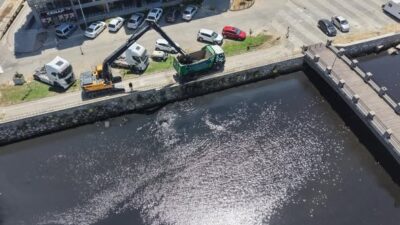 Gemlik Belediyesi ile Bursa Büyükşehir Belediyesi Tarım AŞ işbirliğinde, Karsak