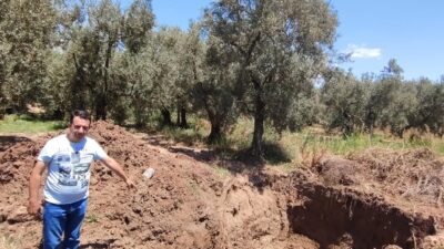 Bursa'nın Orhangazi ilçesinde İznik Gölü’nün Güney Yakasında bir süredir devam