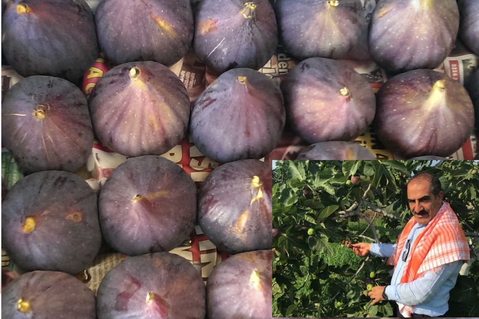 Ticaret Bakanlığı Ege Gümrük ve Dış Ticaret Bölge Müdürlüğü başkanlığında