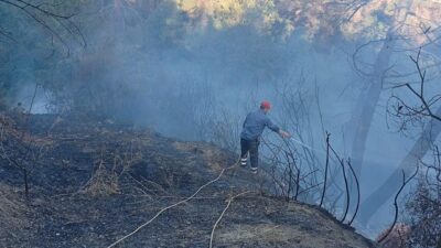 Bursa'nın İznik ilçesinde bugün orman yangını çıkan bölgede bir yangın