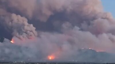 Sakarya'nın Geyve ilçesi Ormanlık alanda bu akşam saatlerinde başlayan Orman