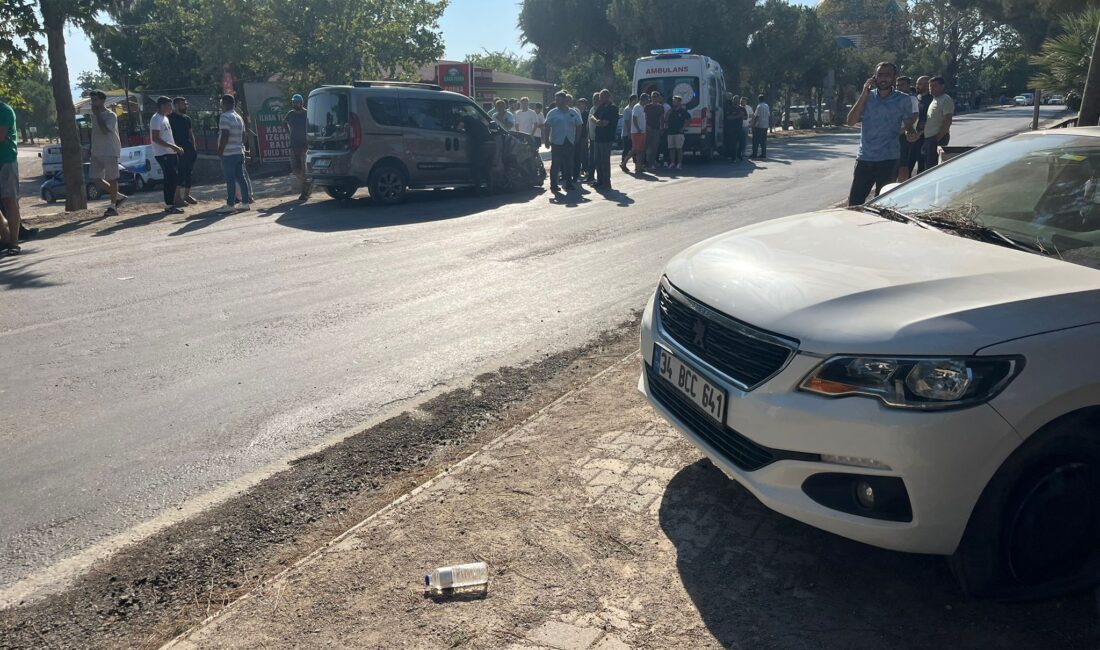 Bursa'da Orhangazi - İznik yolu üzeri Çakırca Mahallesi içinde meydana