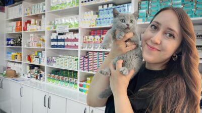 Veteriner Hekim Elif Ebru Dalyan, son günlerde Türkiye genelinde artan