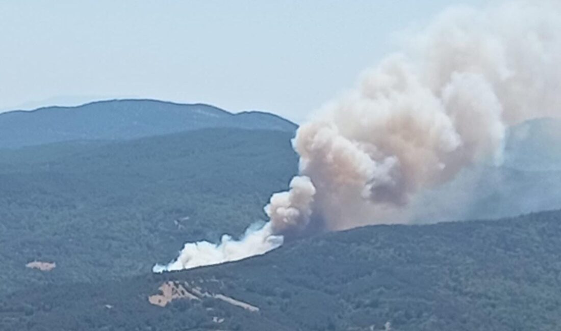 Bursa'nın Mustafakemalpaşa ilçesine bağlı kırsal Alacaat Mahallesi ormanlık alanda yangın