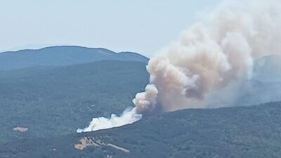 Bursa'nın Mustafakemalpaşa ilçesine bağlı kırsal Alacaat Mahallesi ormanlık alanda yangın