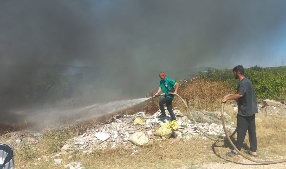 Bursa'nın Orhangazi ilçesine bağlı Yeniköy Mahallesi'nde otluk bir arazide çıkan