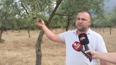 Orhangazi Ziraat Odası Başkanı Dinçer Dimrit, 1 Ekim 2008 öncesinde