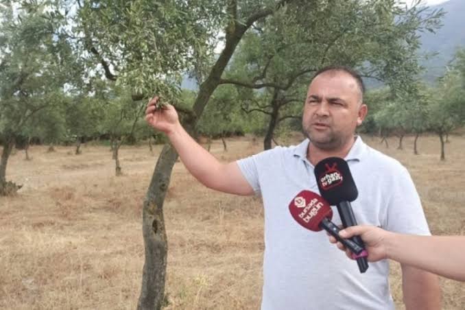 Orhangazi Ziraat Odası Başkanı Dinçer Dimrit, 1 Ekim 2008 öncesinde