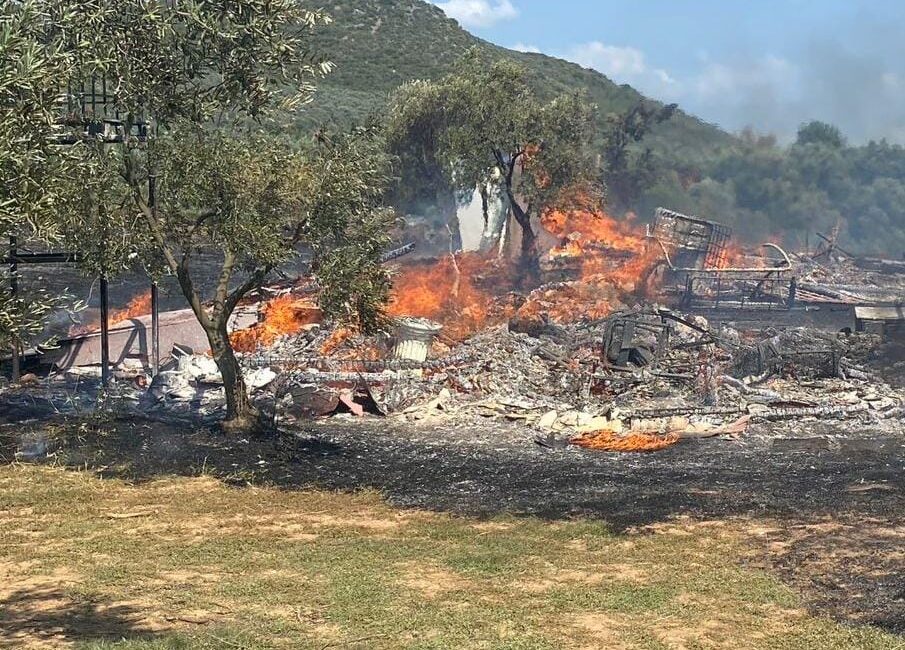 Bursa'nın Orhangazi ilçesinde bir arazi içinde bulunan ahşap ev çıkan