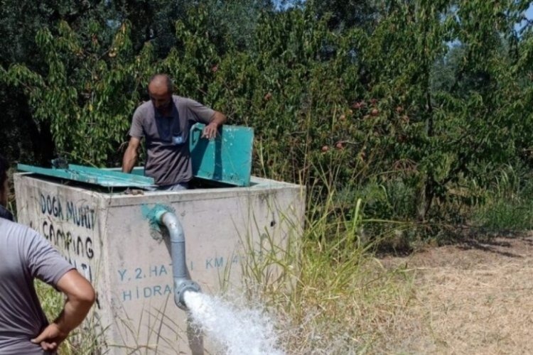 Yüksek yaz sıcaklıkları ve düşen yağışlar, Bursa'nın tamamı ile birlikte