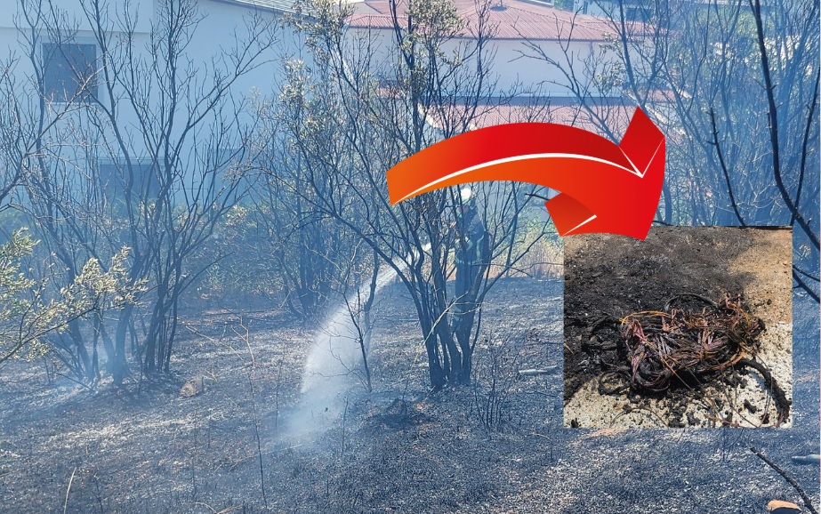 Orhangazi'de bugün öğle saatlerinde bir zeytin tarlasında çıkan zeytinlik yangını