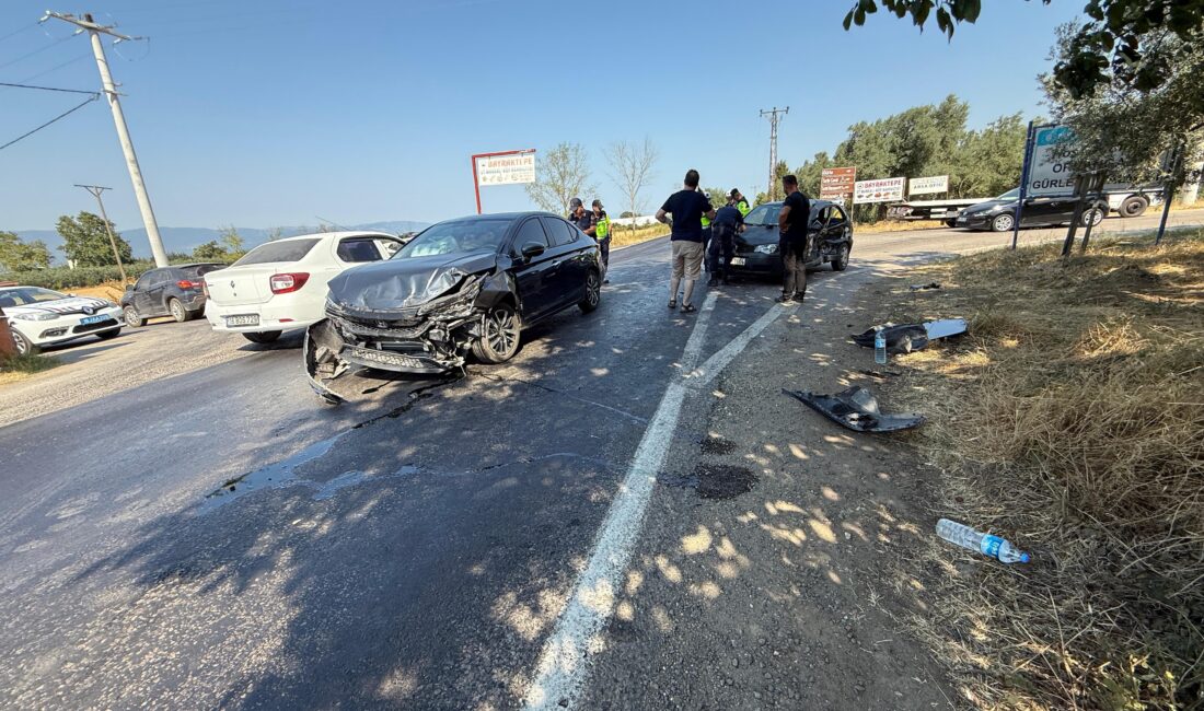 Bursa'da, Orhangazi- İznik Güney yolu üzerinde meydana gelen trafik kazasında