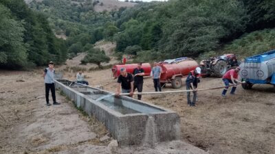 Bursa'nıın Orhangazi ilçesine bağlı Fındıklı Mahallesi'nde ki çiftçiler, hayvanlarını baktıkları
