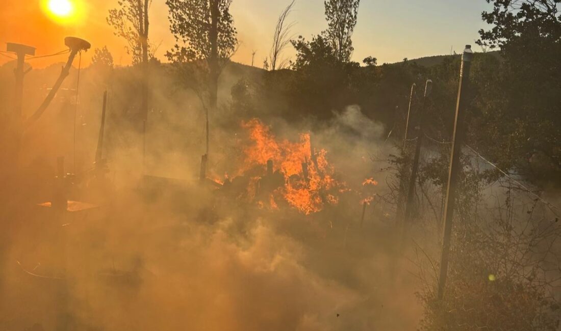 Yalova'nın Armutlu ilçesi Ormanlık alana yakın bir bölgede çıkan yangın