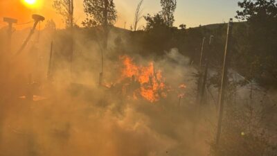Yalova'nın Armutlu ilçesi Ormanlık alana yakın bir bölgede çıkan yangın