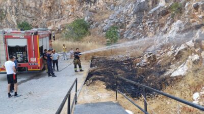 Bursa'nın Orhangazi ilçesinde dağlık bir bölgede bulunan boş arazideki otluk