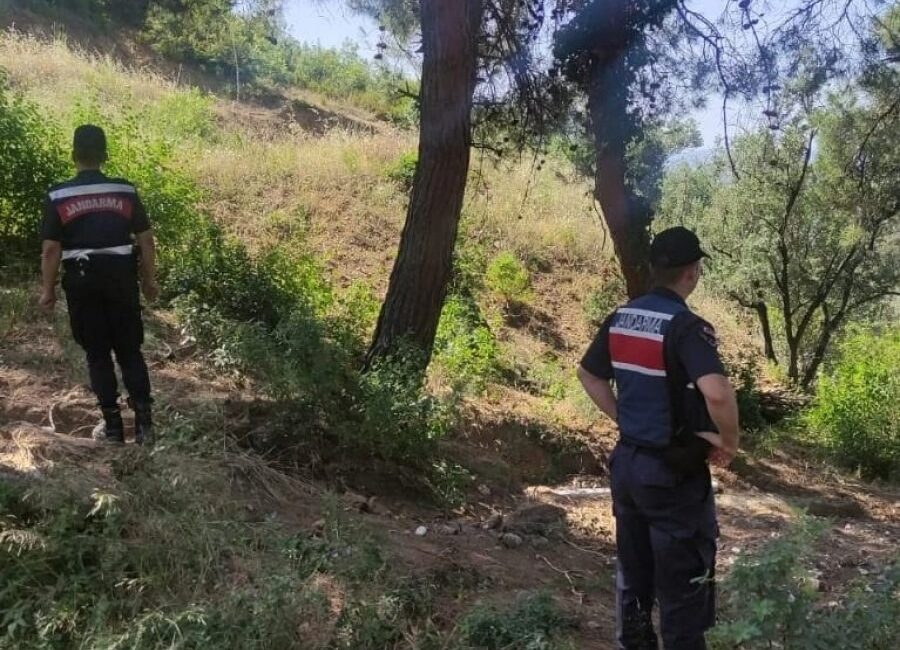 Bursa'nın Orhangazi ilçesinde Jandarma komutanlığı ekipleri son zamanlarda meydana gelen