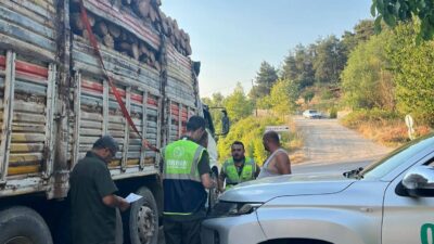 Bursa Orman Bölge Müdürlüğü, ormanların korunması ve orman kaçakçılığının önlenmesi
