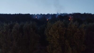 Bursa'nın İznik ilçesinde dün gece saatlerinde başlayan ve kısa sürede
