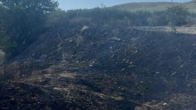 Bursa'nın Gemlik ilçesinde Zeytinlik alanında çıkan yangın, Orman işletme şefliği