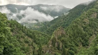 Yalova'da orman yangınlarını önlemek amacıyla 25 Temmuz 2025 tarihinden itibaren