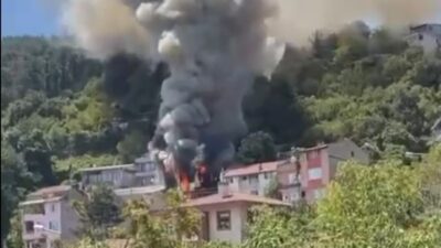 Bursa'nın Osmangazi ilçesinde yer alan Çekirge mevkiinde, ağaçlık alana yakın