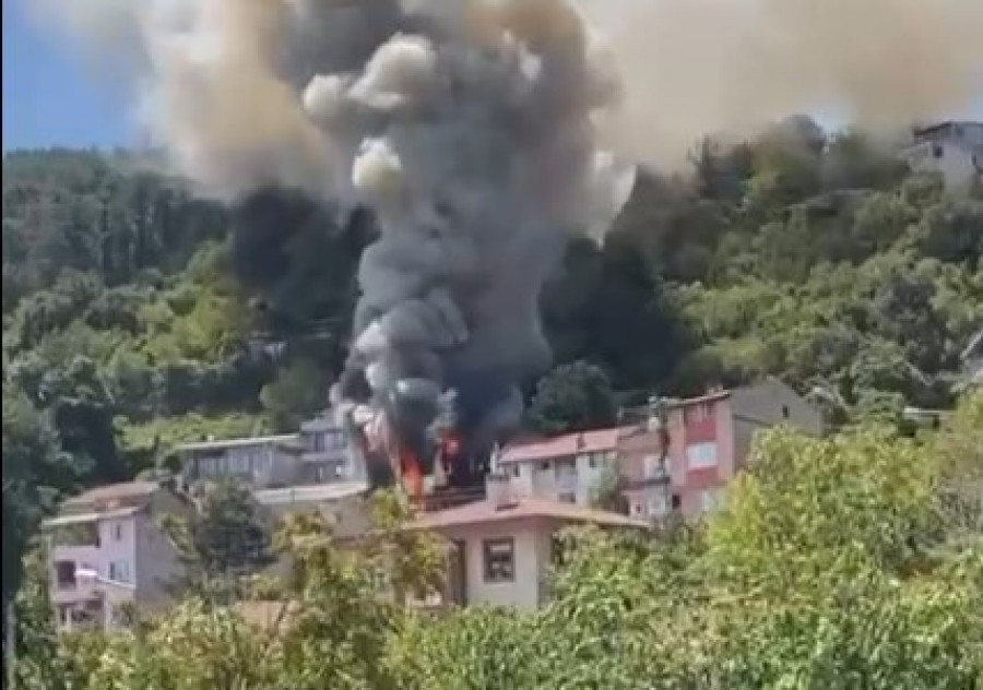 Bursa'nın Osmangazi ilçesinde yer alan Çekirge mevkiinde, ağaçlık alana yakın