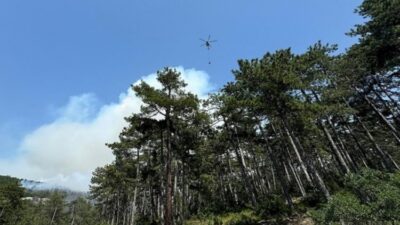 Bursa Orman Bölge Müdürlüğü, mevsimsel şartlar nedeniyle bölgede orman yangını