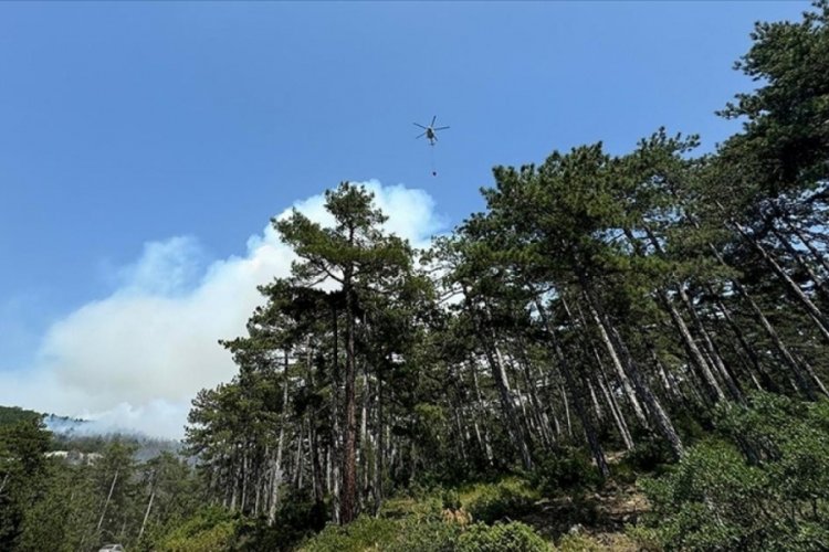 Bursa Orman Bölge Müdürlüğü, mevsimsel şartlar nedeniyle bölgede orman yangını