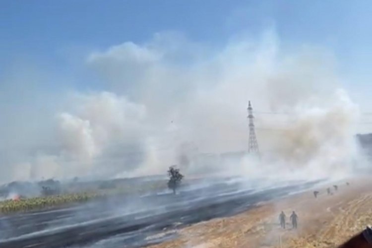 Bursa'da Şehir Hastanesi karşısında bulunan boş bir arazide yangın çıktı.